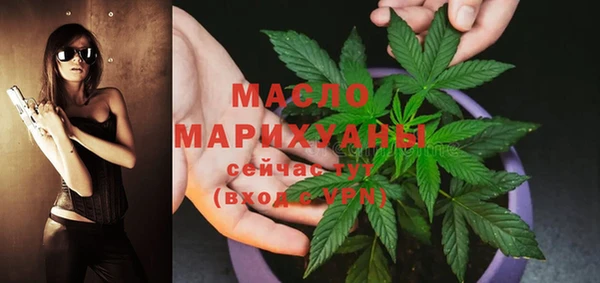 соль ск Новозыбков