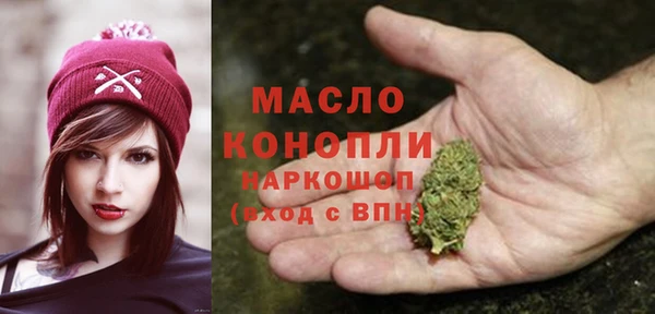 соль ск Новозыбков