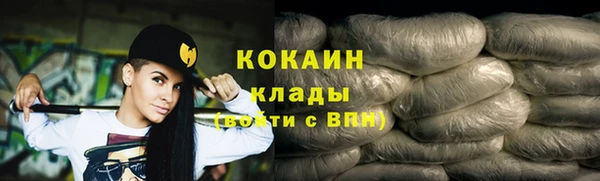 соль ск Новозыбков