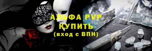 соль ск Новозыбков