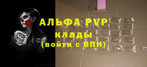 соль ск Новозыбков