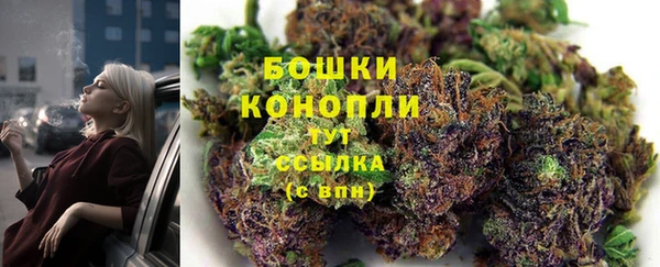 соль ск Новозыбков