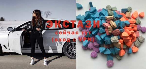 соль ск Новозыбков