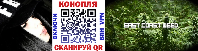 Купить закладки  Конаково  Конопля Amnesia 